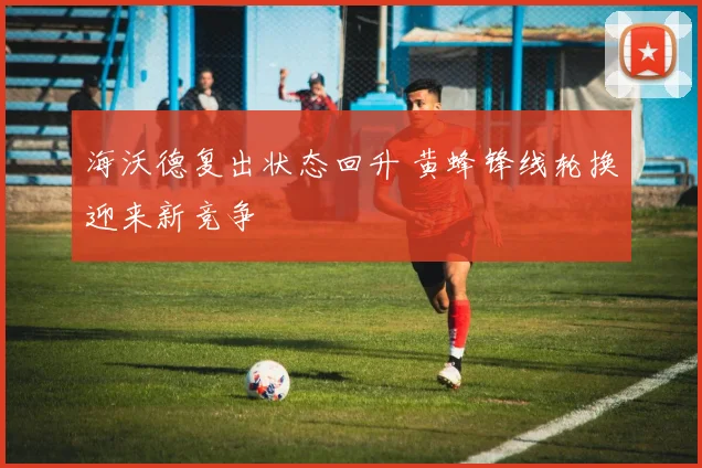 海沃德复出状态回升 黄蜂锋线轮换迎来新竞争