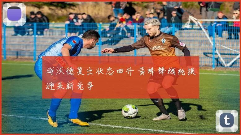 海沃德复出状态回升 黄蜂锋线轮换迎来新竞争