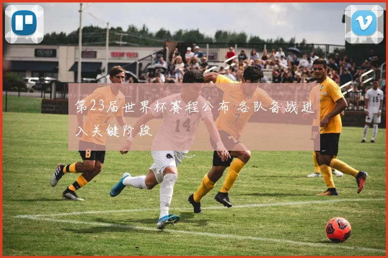 第23届世界杯赛程公布 各队备战进入关键阶段