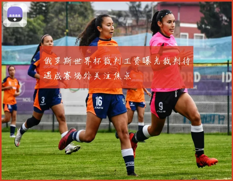 俄罗斯世界杯裁判工资曝光裁判待遇成赛场外关注焦点